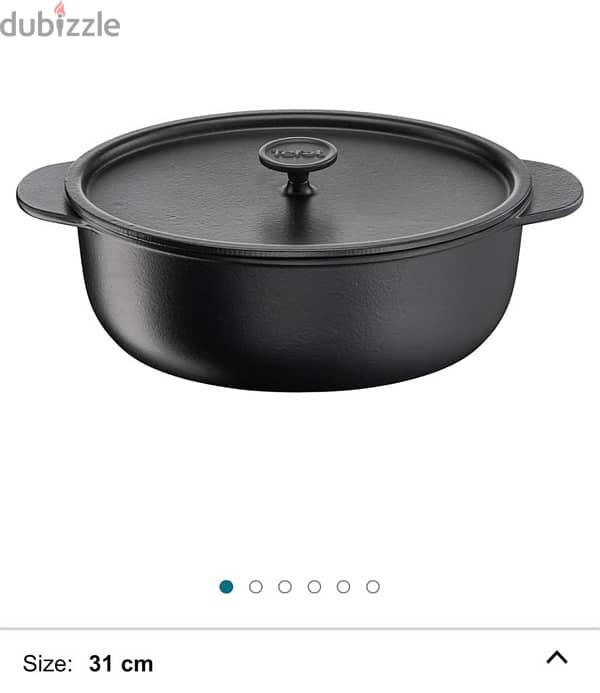 Tefal Cast Iron 1