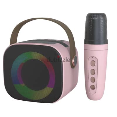 NewRixing BD-108 Wireless Karaoke Speaker with memory reader