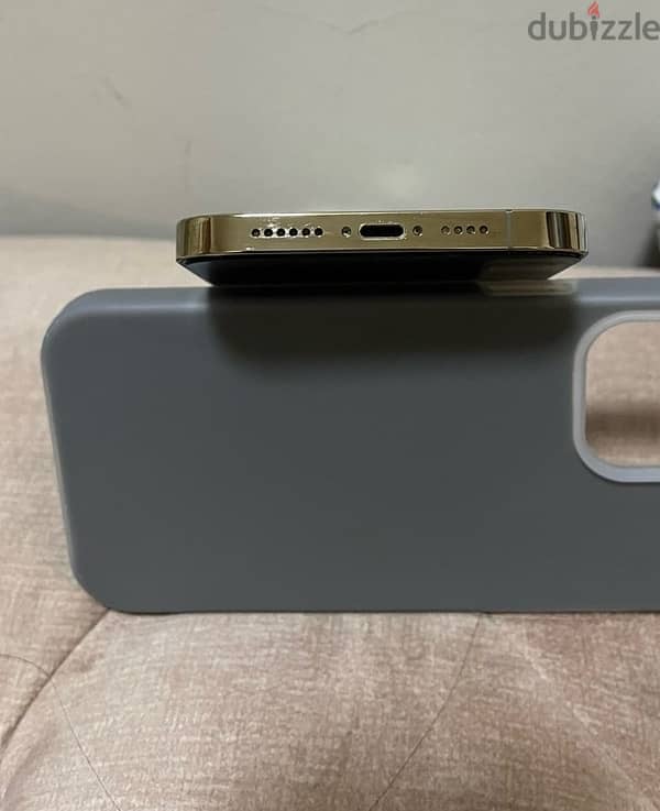 iphone 13 pro max color gold 2