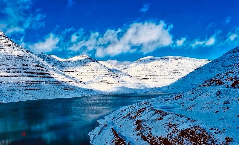 LAND in Faraya Chabrouh with PANORAMIC View أرض في شبروح ٧٨٠ م٢ 5