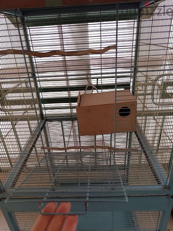 huge bird cage 0