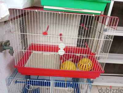 Bird cages for sale