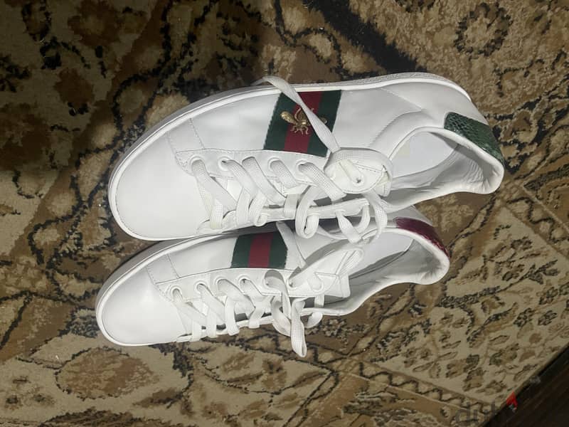 Gucci brand 0