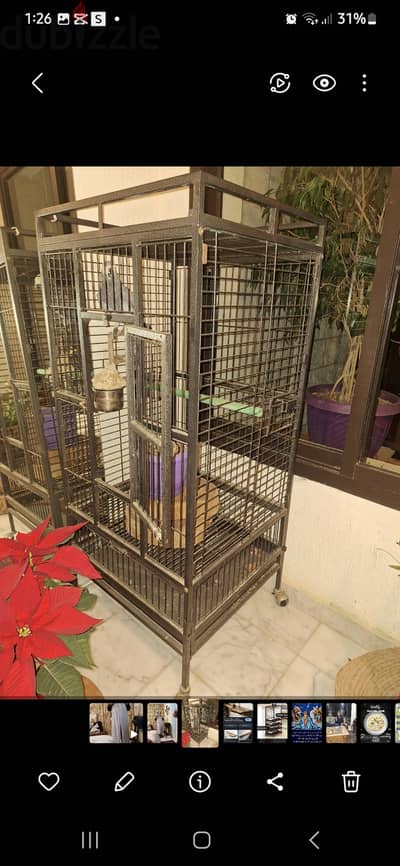 Parrot cage