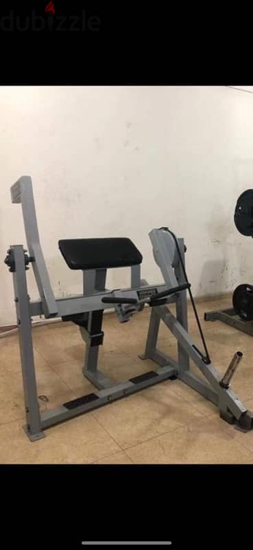 Like new Hammer Strength Biceps machine made in USA wtsp 81701084 1