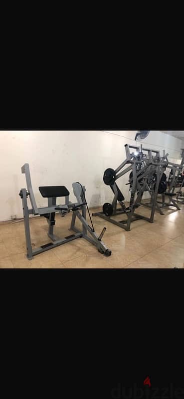 Like new Hammer Strength Biceps machine made in USA wtsp 81701084 2