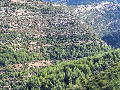 koura matrit land 14000 mtr لقطة العمر على الاوتوستراد الكورة متريت