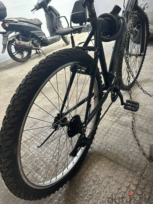 bicycle for sale بسكلات للبيع 1