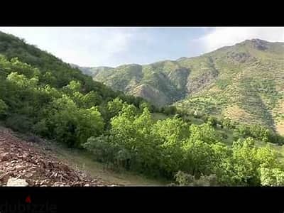 Scenic I 10,000 SQM Land in Aley District