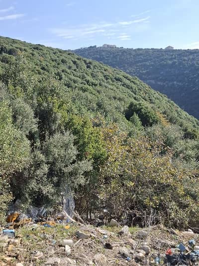 14000m2 Land in kfar Abida,Batroun عقار للبيع في كفرعبيدا ،البترون