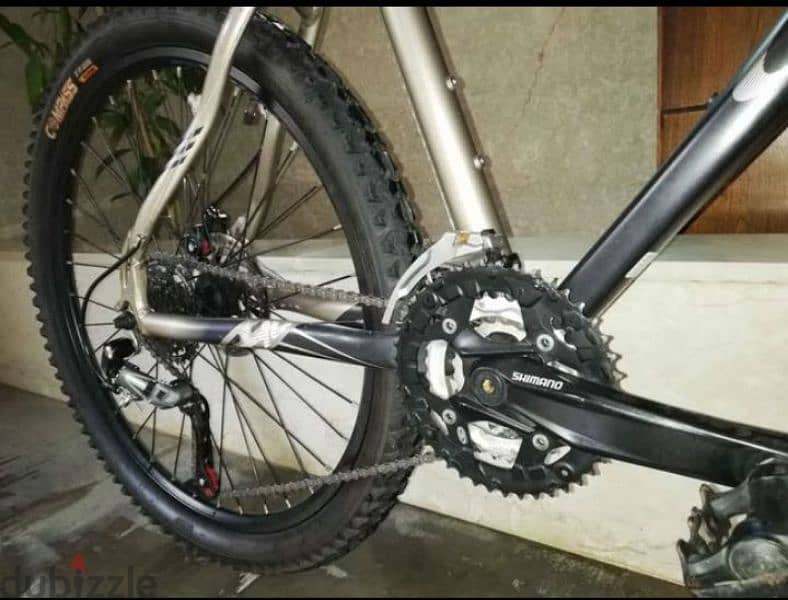 Orbea bike 1