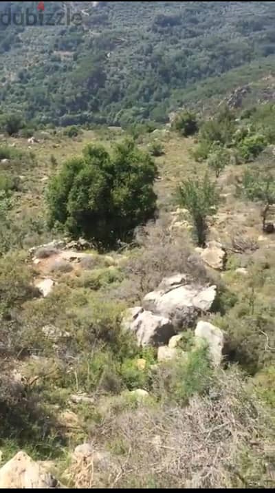 1350 Sqm | Land for sale in Al Katine | Mountain view