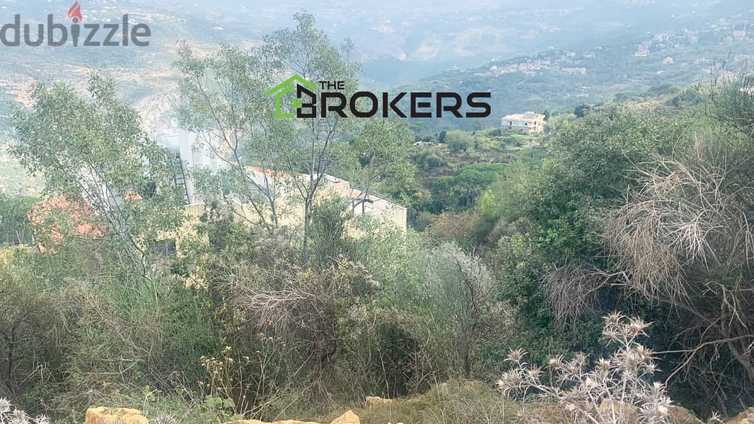 Land for Sale in Abadiyeh   أرض للبيع في العبادية 1