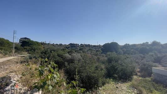 RWB205CA - Land for sale in Chikhane Jbeil