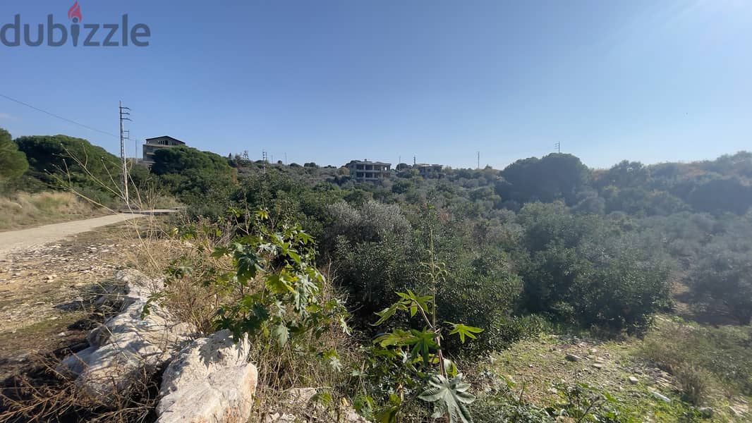 RWB205CA - Land for sale in Chikhane Jbeil 2