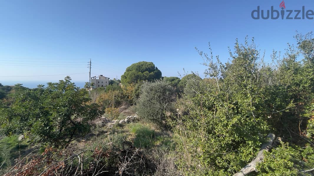 RWB205CA - Land for sale in Chikhane Jbeil 3