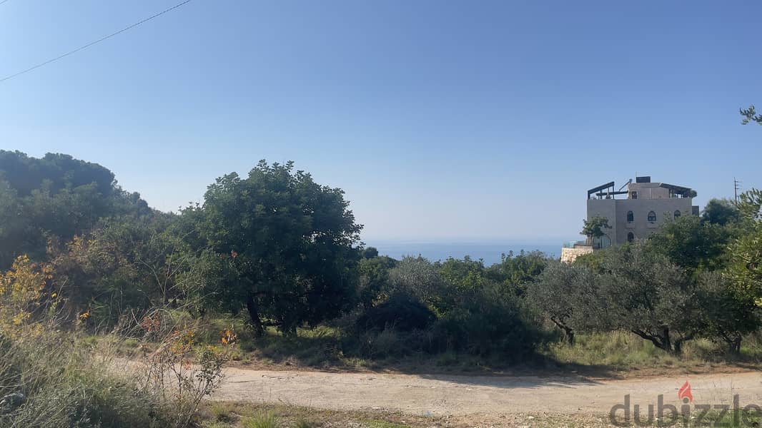 RWB205CA - Land for sale in Chikhane Jbeil 4