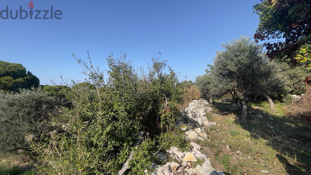 RWB206CA - Land for sale in Chikhan Jbeil 5