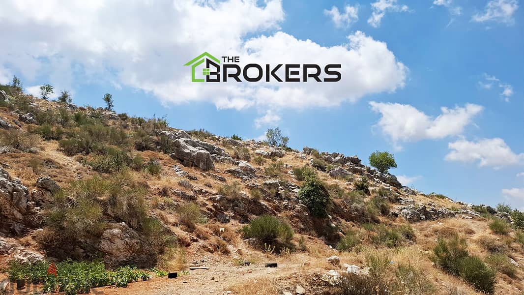 Land for Sale in Barouk  أرض للبيع في الباروك 0