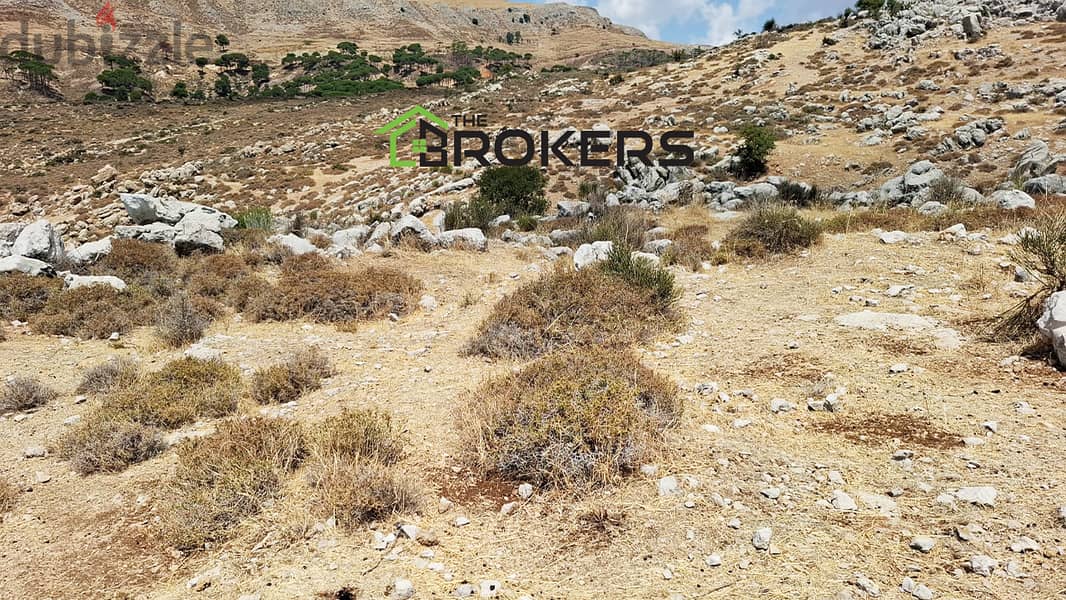 Land for Sale in Barouk  أرض للبيع في الباروك 1