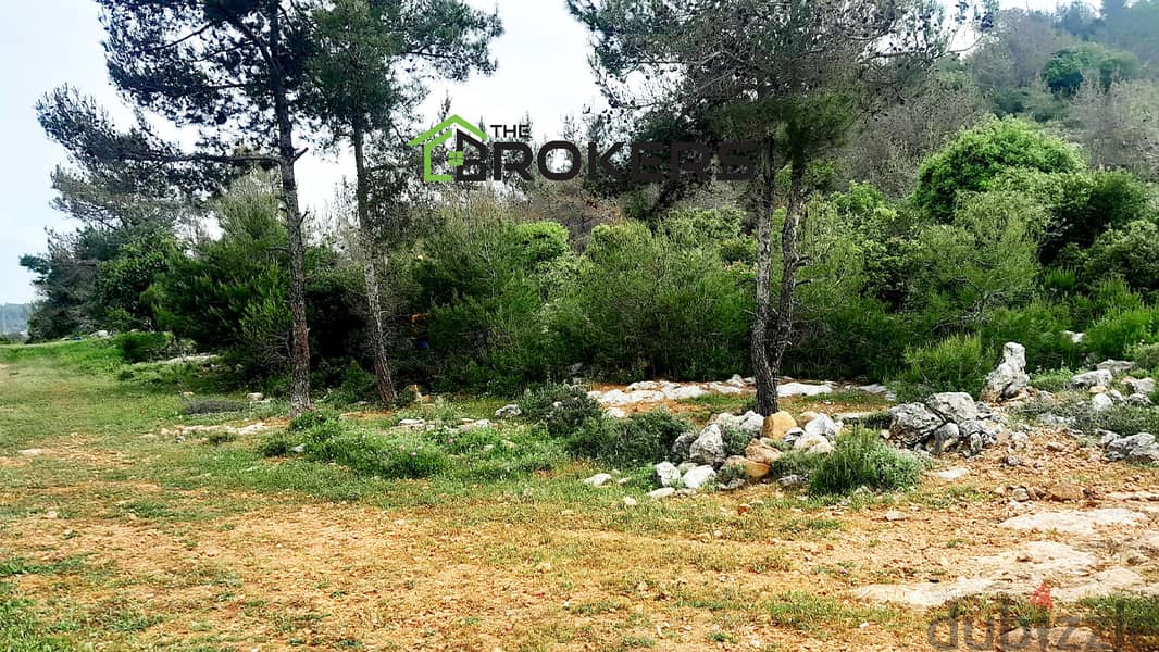 Land for Sale in Ain Drafil  أرض للبيع في عين درافيل 1