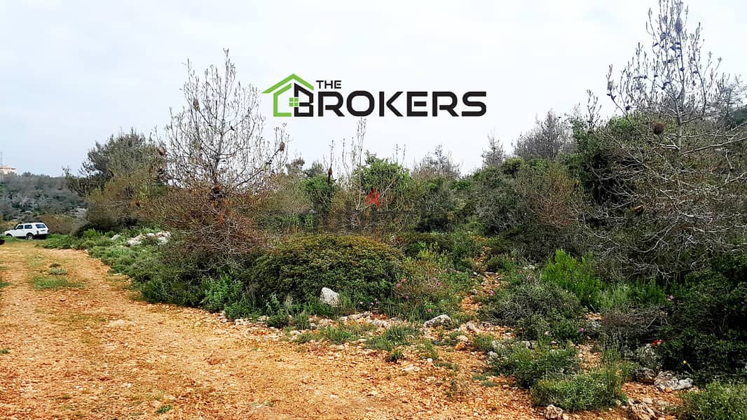 Land for Sale in Ain Drafil  أرض للبيع في عين درافيل 2