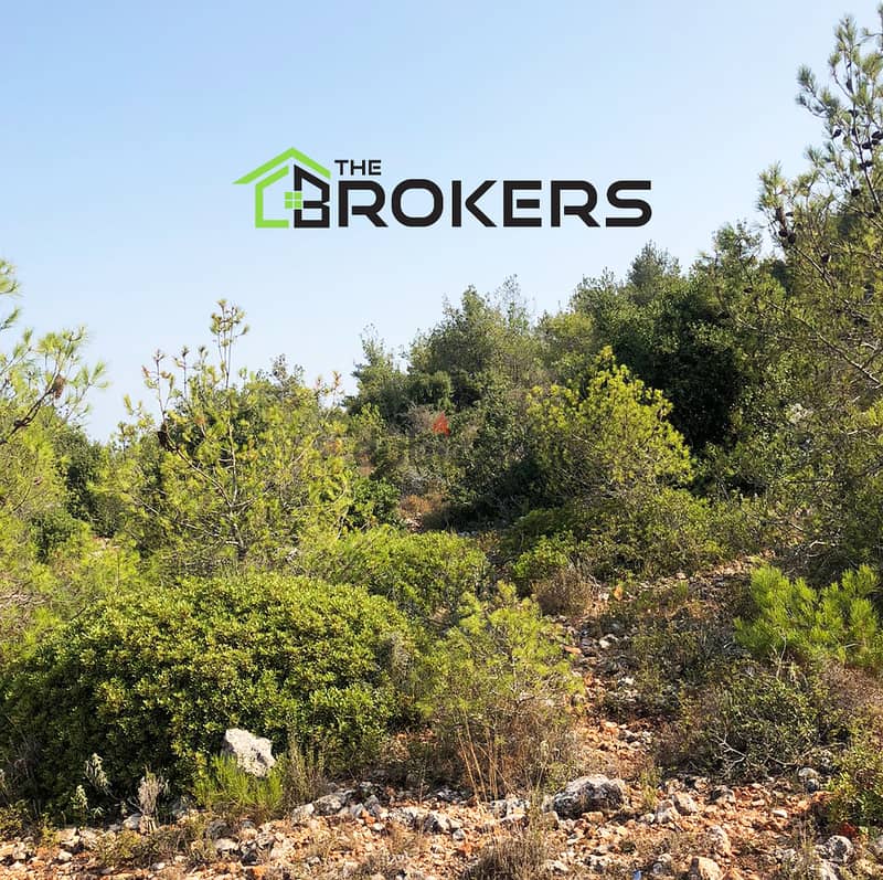 Land for Sale in Ain Drafil  أرض للبيع في عين درافيل 4