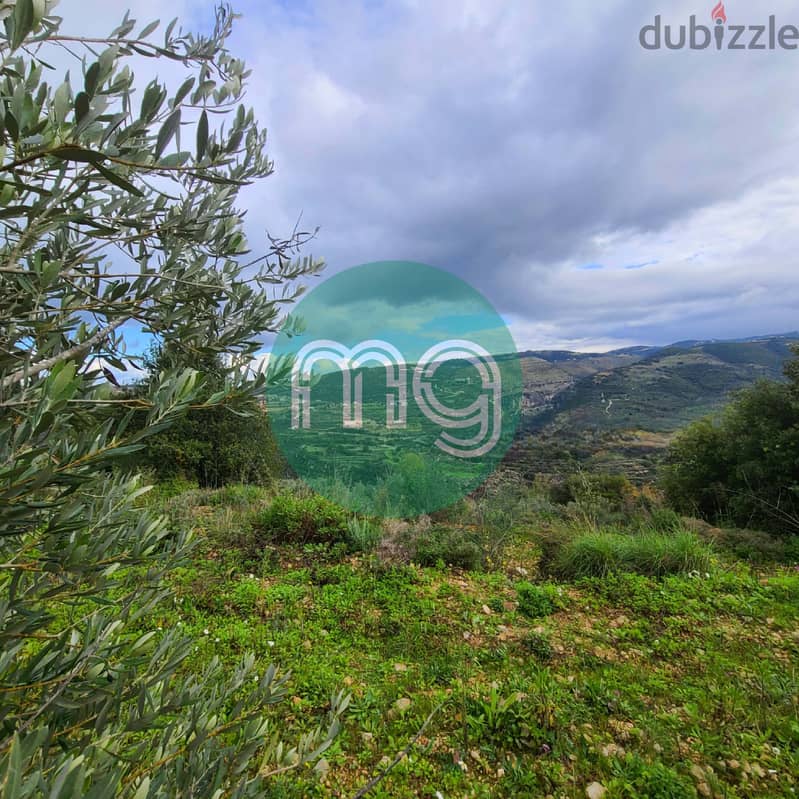 SS-12122 / Land for Sale in Maad Jbeil , أرض للبيع في معاد 1