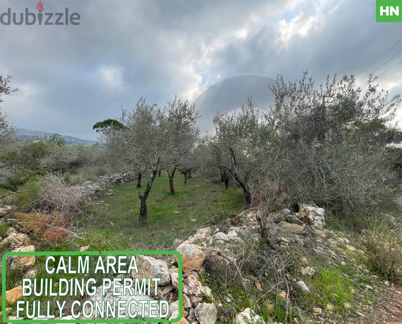 Prime Land with Mountain View in CHOUF-Borjein/ البرجين ! REF#HN116295 0