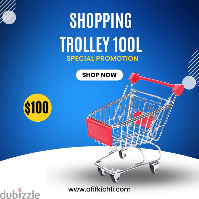 Trolleys & Baskets for Supermarket & Stores 4