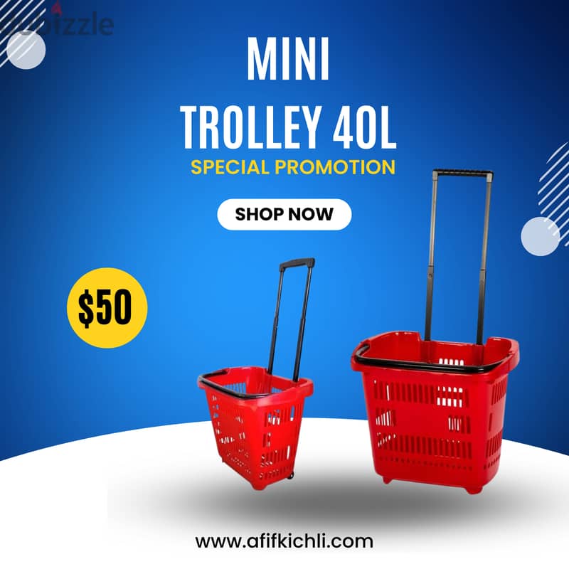 Trolleys & Baskets for Supermarket & Stores 5