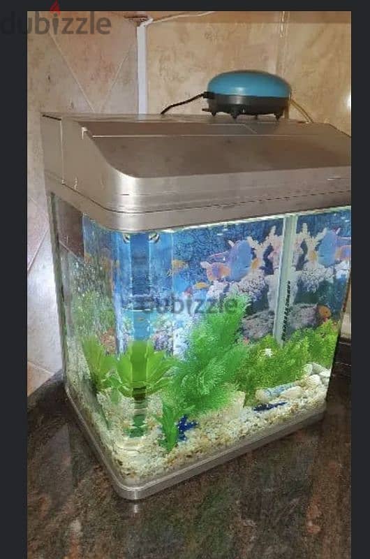 Glass Aquarium for fish with all accessories 0