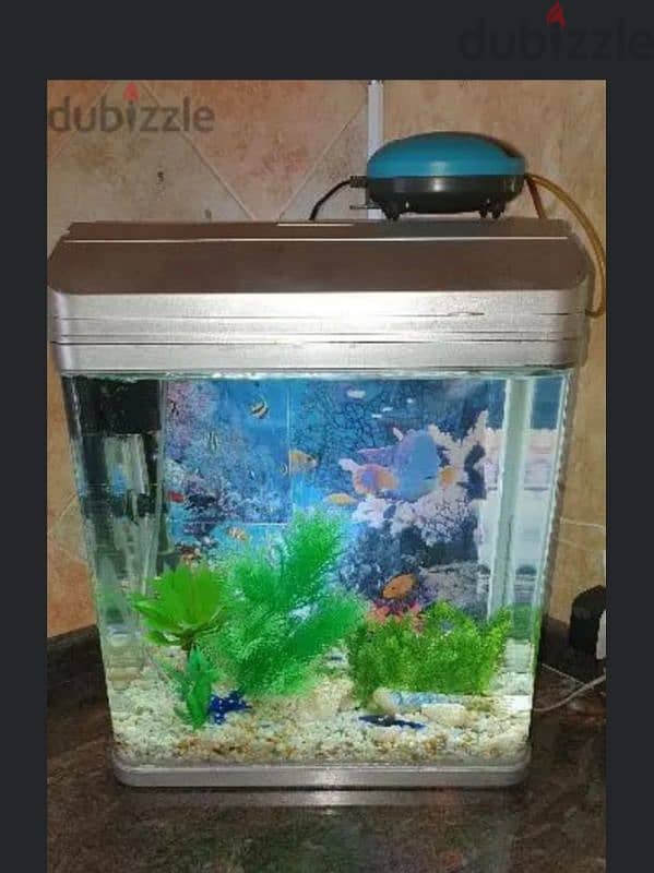 Glass Aquarium for fish with all accessories 2