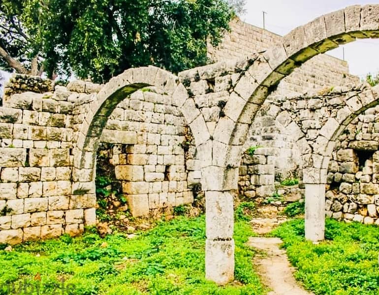 SCENIC LAND in BALOUNEH with Panoramic Viewأرض في بلونه ١٢٦٥م٢ 3