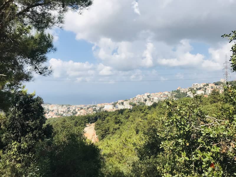 SCENIC LAND in BALOUNEH with Panoramic Viewأرض في بلونه ١٢٦٥م٢ 4