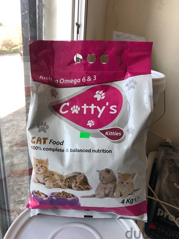 cat food for kitties 0