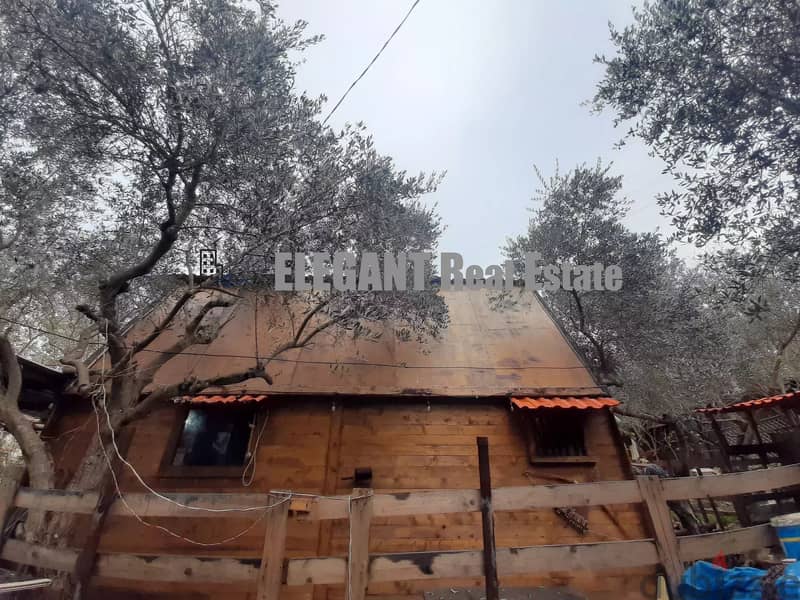 Land For Sale | Flat | Bungalows | Zebdine - Jbeil 2