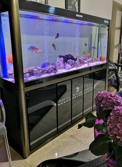 1.8. m aquarium with sump without fish