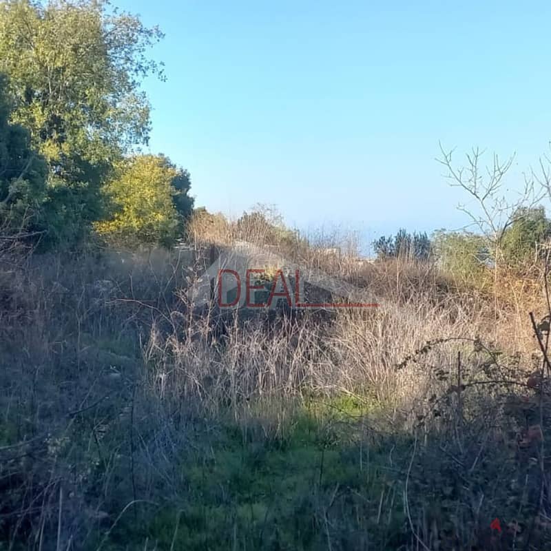 Land for sale in Ras Osta REF#CD1121 2