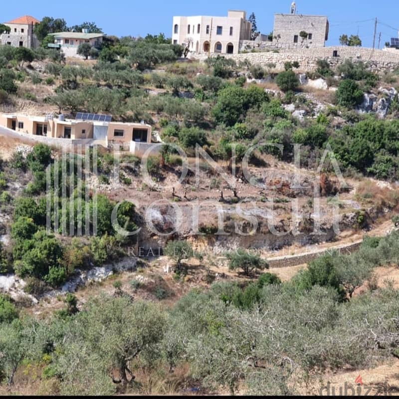 Land for Sale in Chmout, Jbeil District  - Attractive Price 0