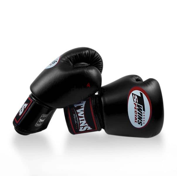 Twins Special Boxing Gloves 1