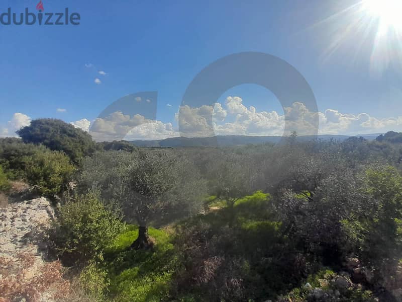 prime location, batroun, wej l hajar/بترون , وج الحجر REF#MF116356 1