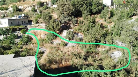 land for sale in bchele batroun أرض للبيع في بشعلة البترون