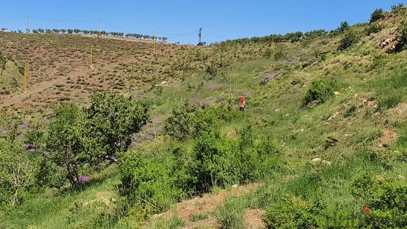 land for sale Tannourine 1