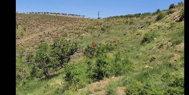 land for sale Tannourine 3