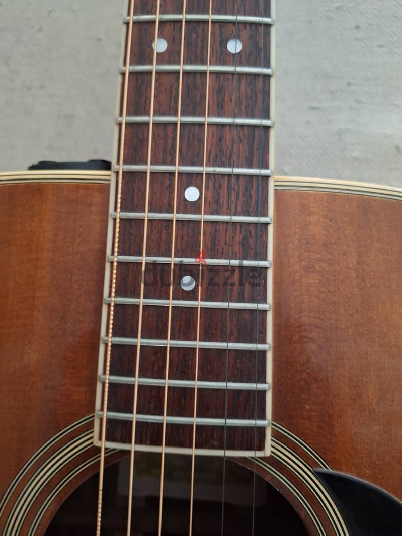 Accoustic Guitar: Suzuky Three S Model W-40A 4