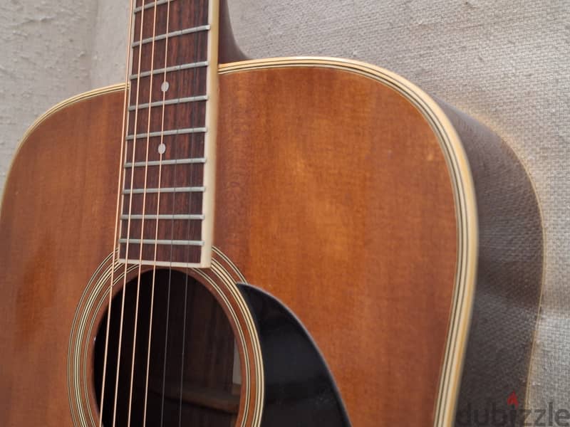 Accoustic Guitar: Suzuky Three S Model W-40A 5