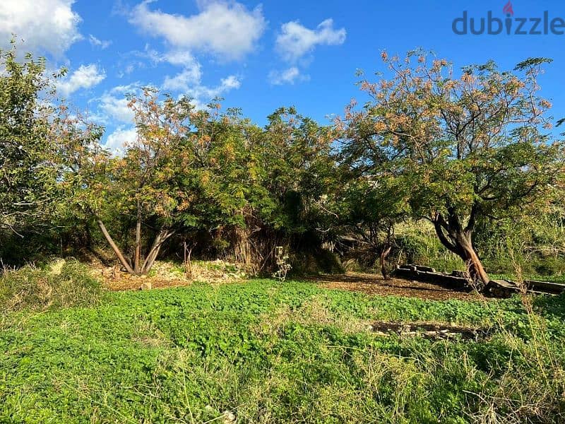 land for sale in batroun أرض للبيع في البترون 1