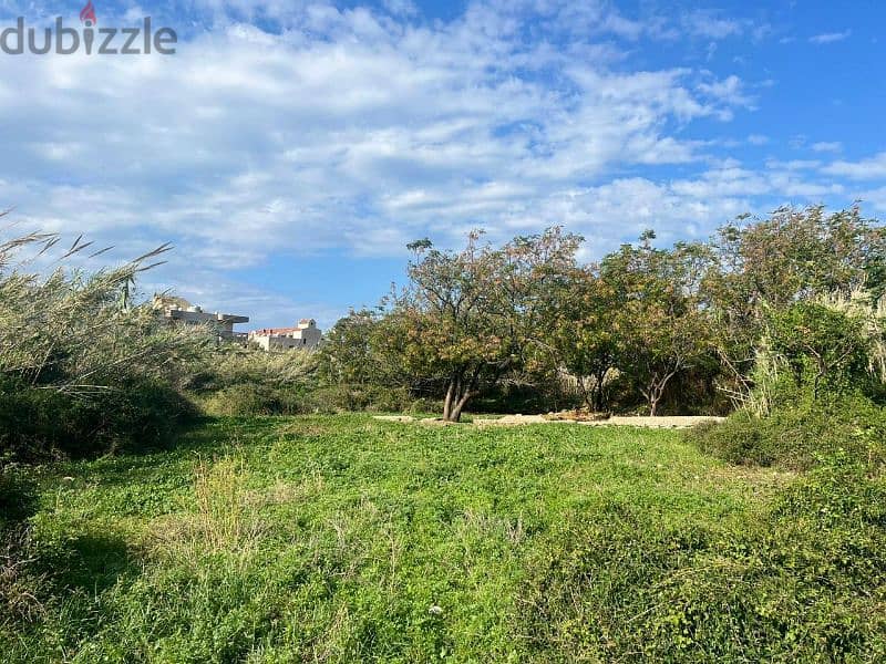 land for sale in batroun أرض للبيع في البترون 2