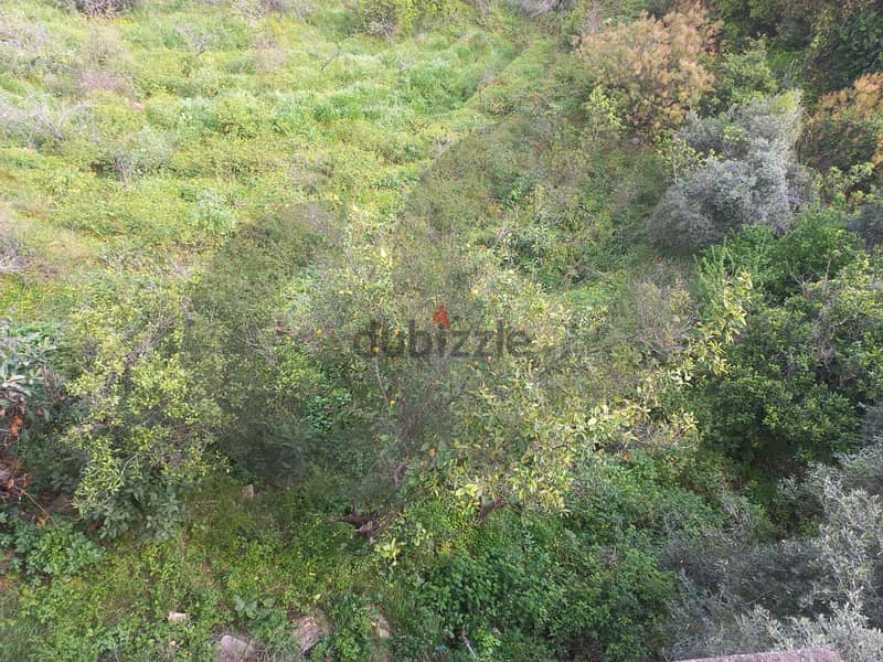 Land + building,unobstructed view, a quiet area REF#BC116416 9